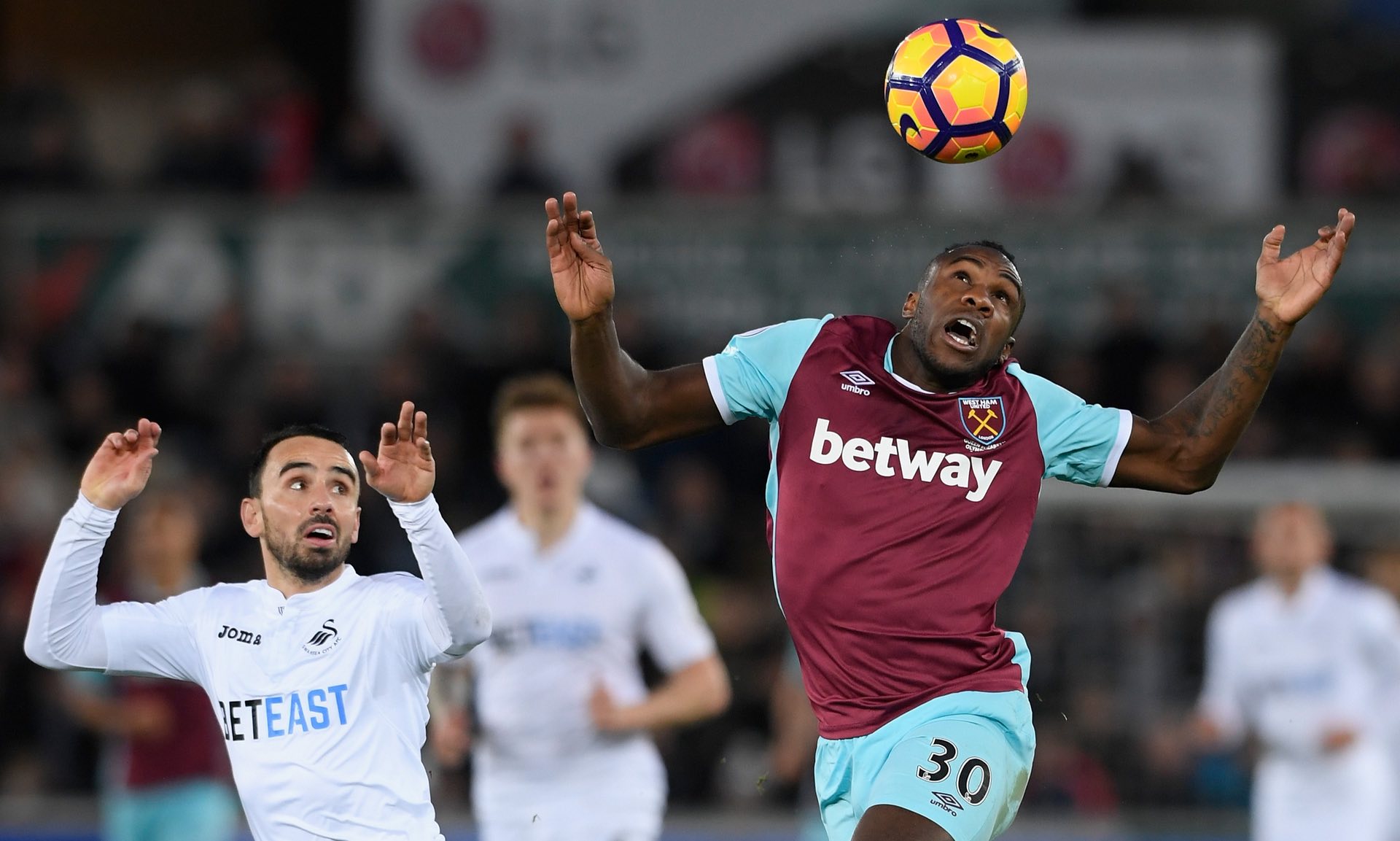 奥利塞的场 奥利塞的场